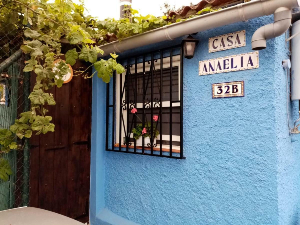 Vila Casa Anaelia La Orotava Exteriér fotografie