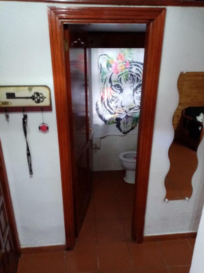 Vila Casa Anaelia La Orotava Exteriér fotografie